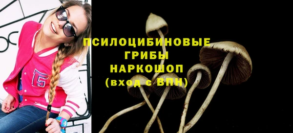 молекула духа Сатка
