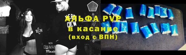 индика Аркадак