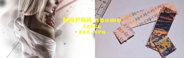 индика Аркадак