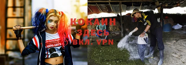 МДПВ Арсеньев
