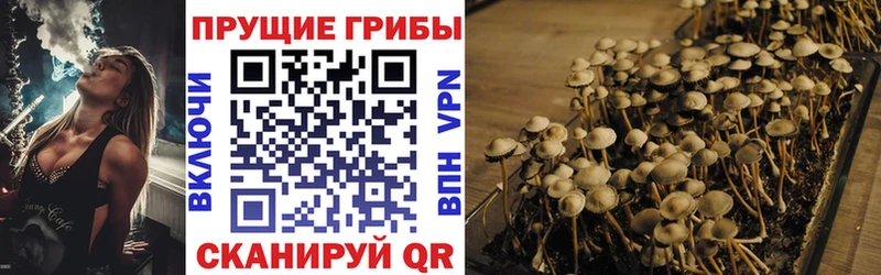 mega рабочий сайт  Валдай  Псилоцибиновые грибы Magic Shrooms 